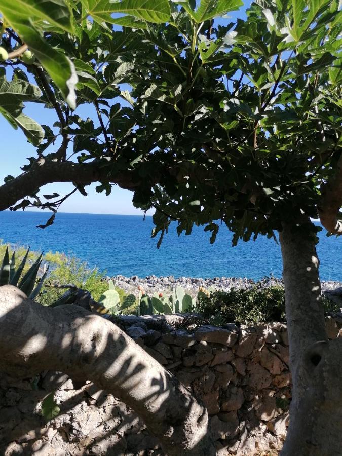 Villa Marigiosa Salento Marittima Buitenkant foto